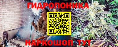мескалин Кингисепп